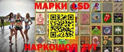 крисы Кинель