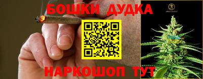 крисы Кинель