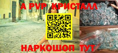 крисы Кинель