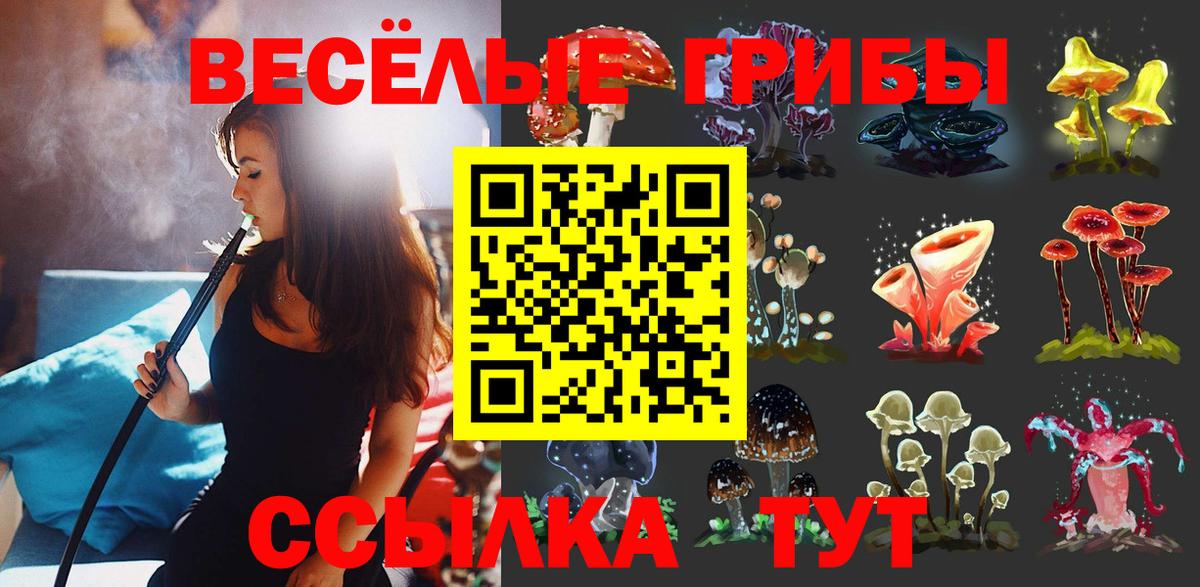Псилоцибиновые грибы Psilocybine cubensis Кулебаки
