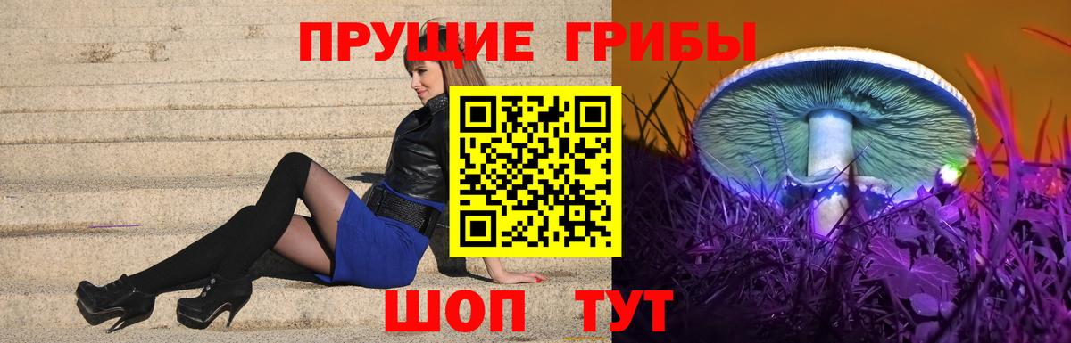 Кулебаки  купить   Вход с VPN  Псилоцибиновые грибы Cubensis 