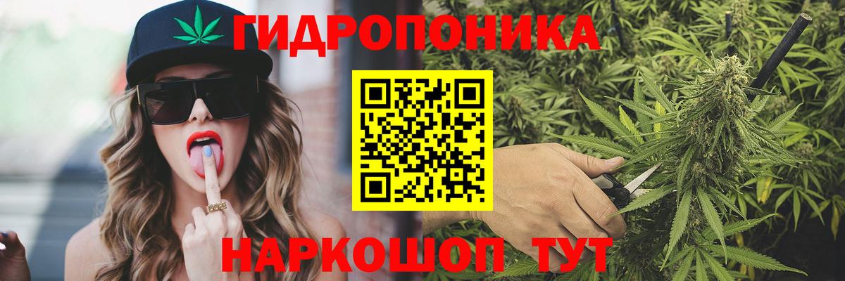 Шишки марихуана конопля Кулебаки
